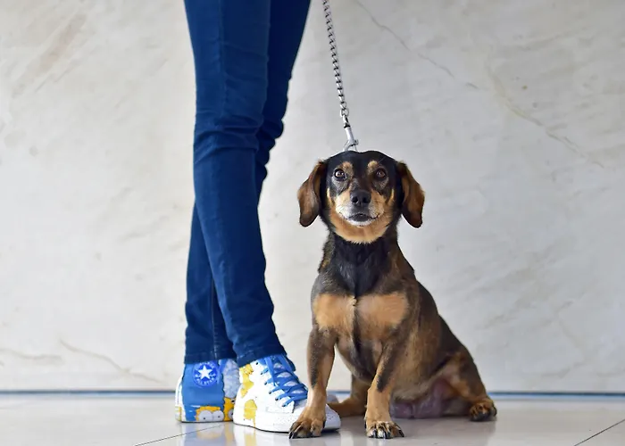 Hotell Pestana Tiergarten 4*